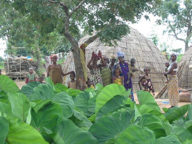 Fulani kraal