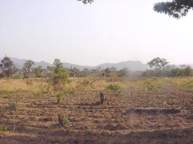 The view north from the confluence point