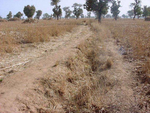 A view of the Confluence, just ahead of the camera, looking north