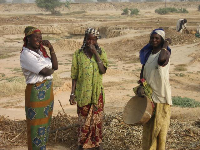 Dagona village women