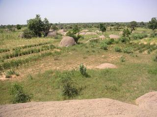 #1: General View