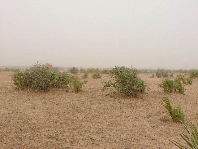 West across the confluence point