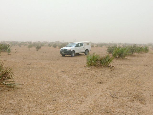 Looking south across the point, to the Wilkinson vehicle