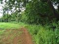 #4: View west. Trail along pasture.