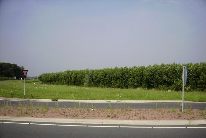 Blick nach Westen - View west