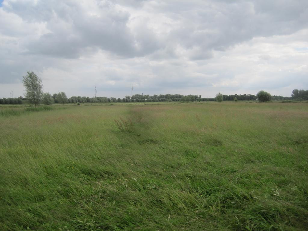 Süden; view south