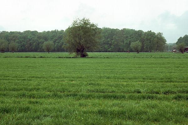 View to the west from the degree confluence