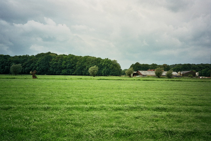 View from the confluence towards W - farm no. 1