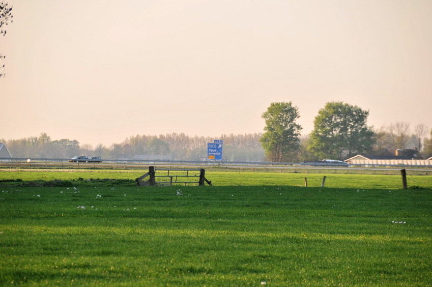 View north / Blick nach Norden