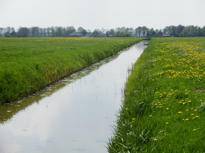 Nearby Water Channel