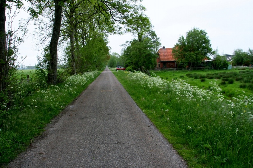 The small road that leads close to the point