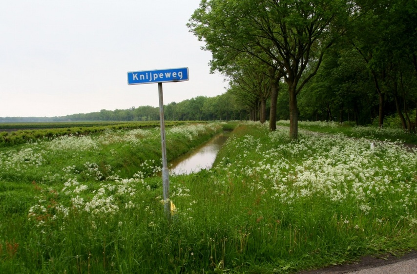 View from the road close to the point