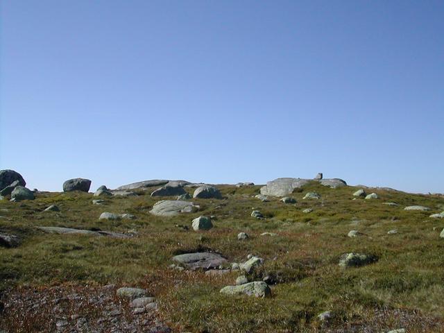 Looking north from the confluence