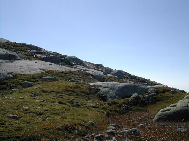 Looking west from the confluence