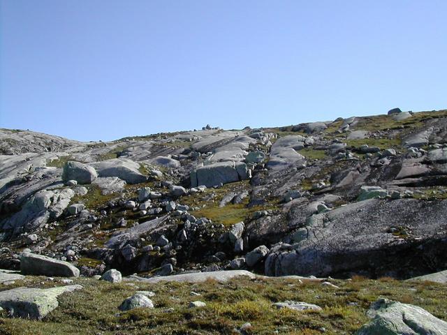 Looking south from the confluence