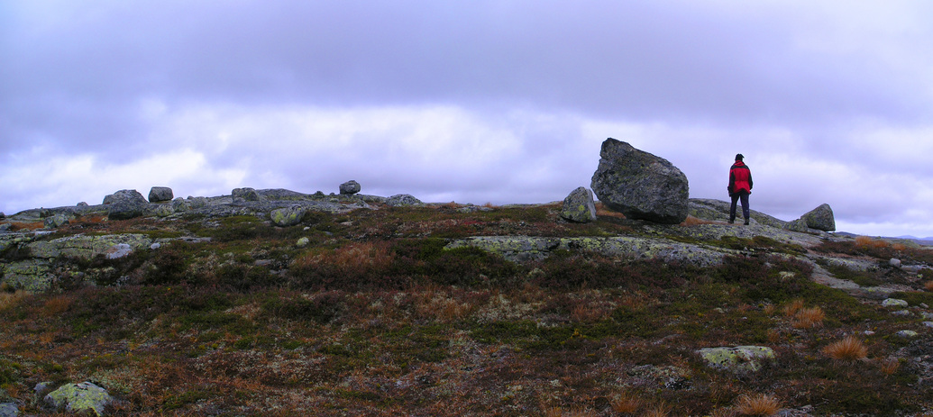 The last ice age left many boulders behind