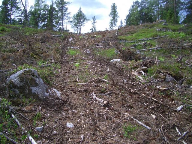 The loggers' track