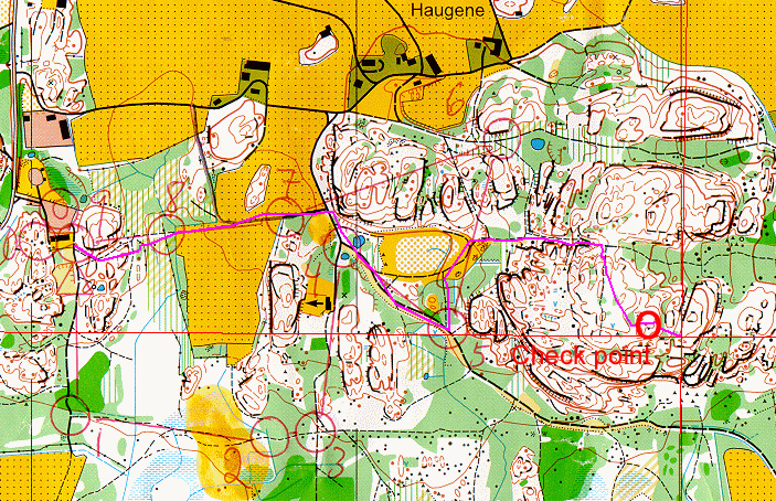 Track log with check point and degree confluence