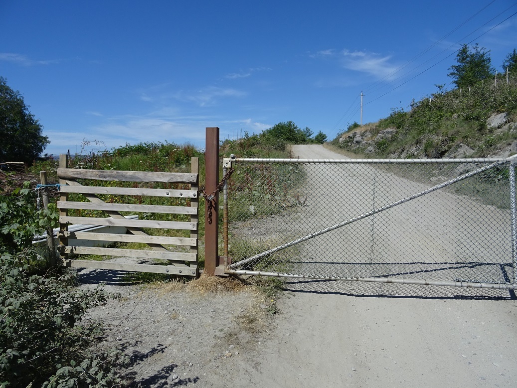 The gate at the head of the forest road