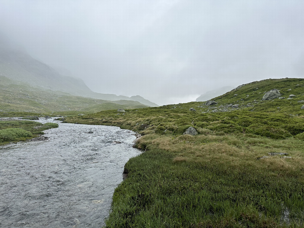 View to the North