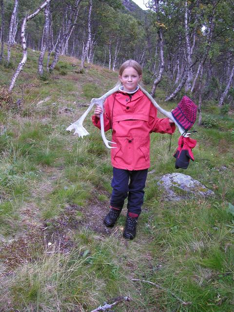 Cathinka with 13-point reindeer antlers