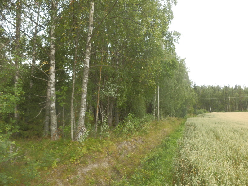 The Confluence from 20 m Distance