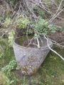 #9: Sewage Pipe or Big Flower Pot?