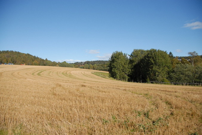 View north / Blick nach Norden