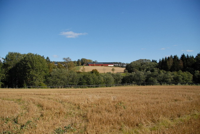 View south / Blick nach Süden