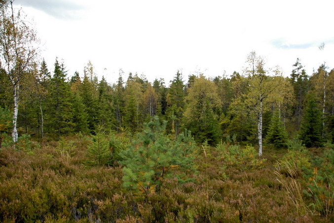 View west / Blick nach Westen