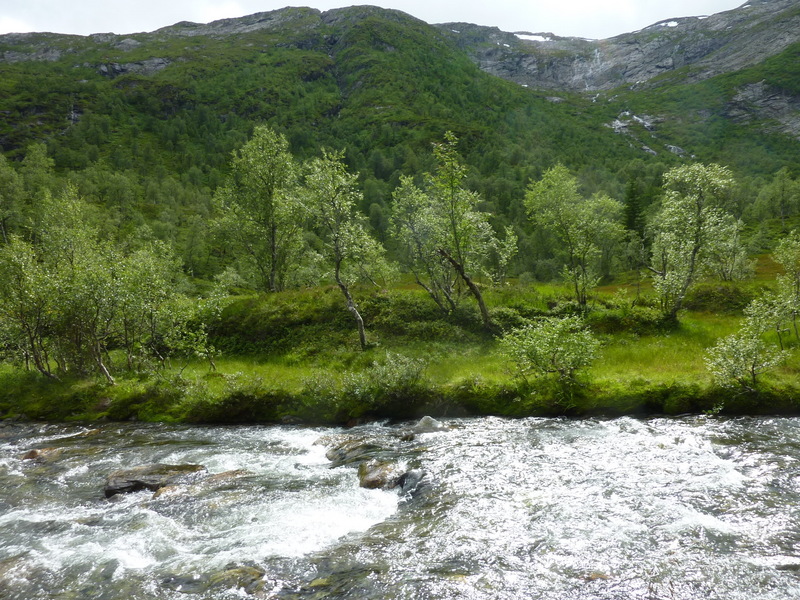 Confluence point is 462 meters away, on the other side of the river