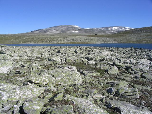 View into northeast direction onto the confluence point in front of the lake