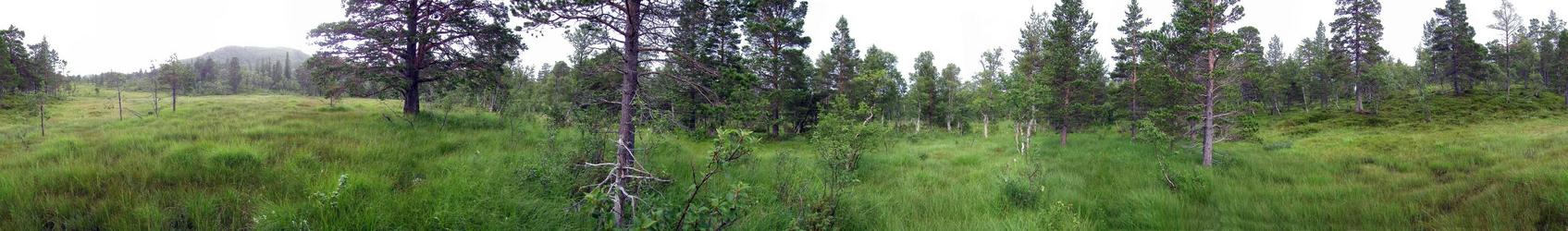 Panorama from the confluence