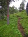 #4: Path towards the confluence