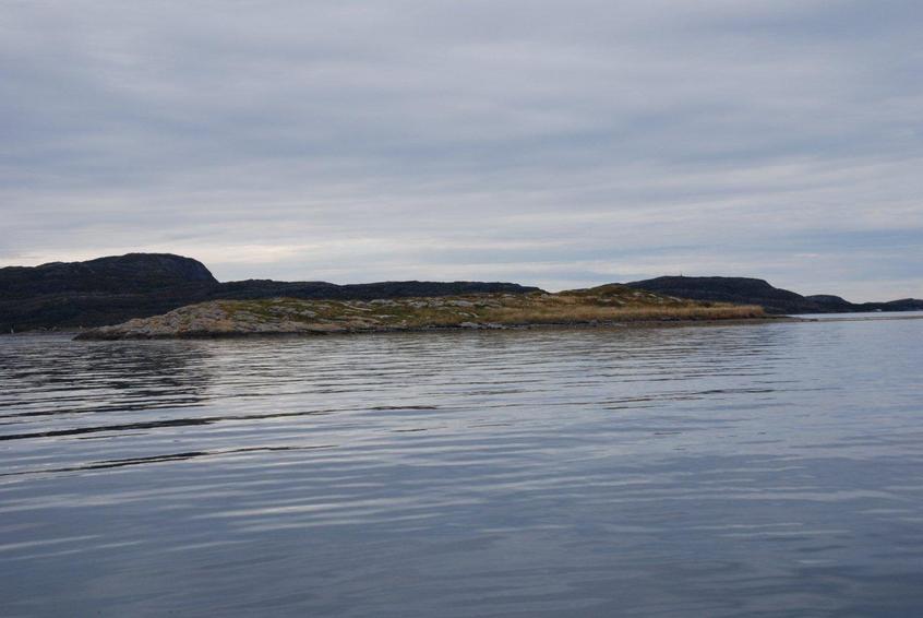 To the north-west the small island Lamholmen (Lamb Island). My grandfather used to row some sheep out here each summer for grassing, hence the name.