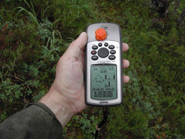 On the spot (with a cloudberry)