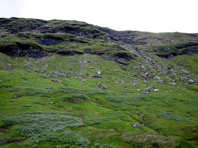 Overview of confluence point from a point 217 m north of it