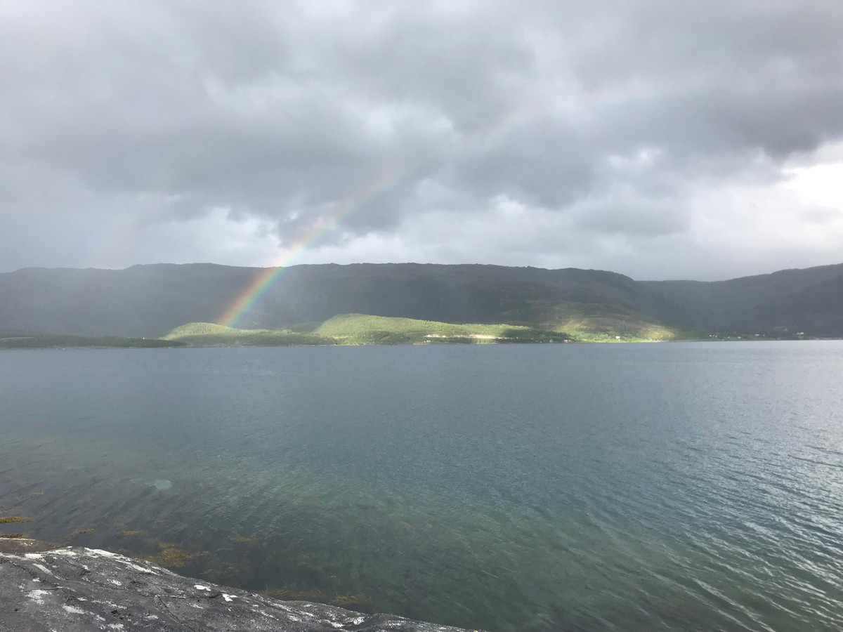 CP67N14E rainbow short before reaching the CP