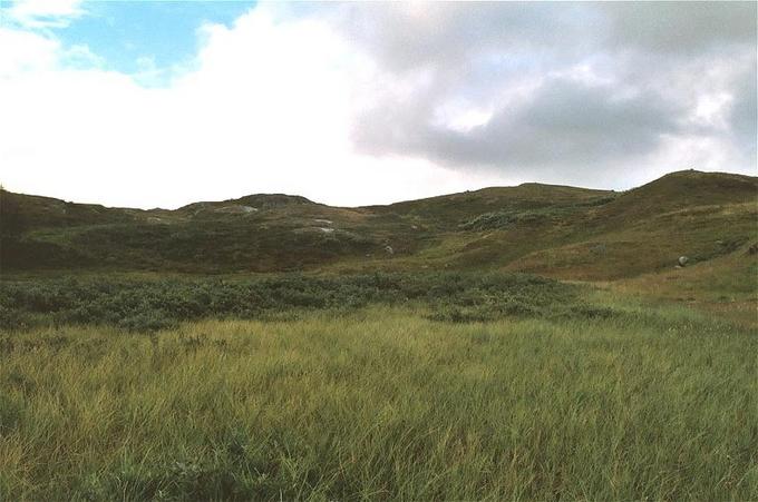 view east from the confluence