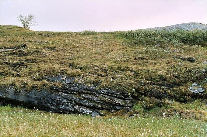 view south from the confluence