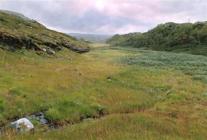 view west over the area of the confluence