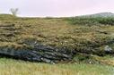 #5: view south from the confluence