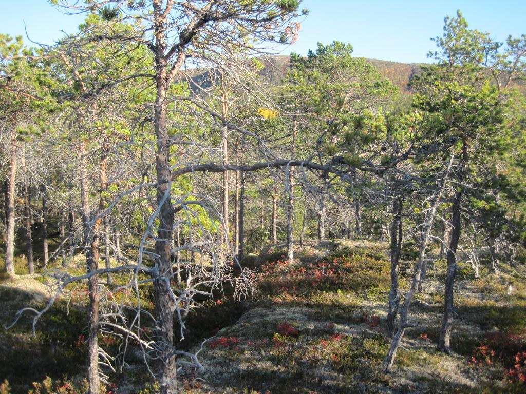 Osten; view east