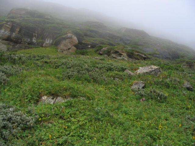 The confluence point seen 100 metres from west.