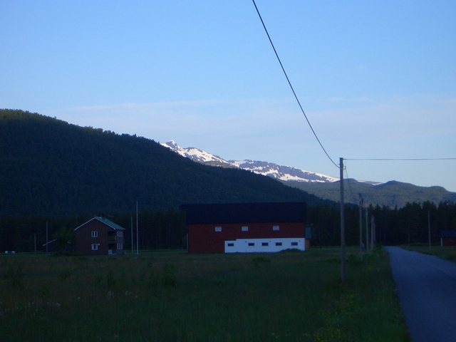 Midnight sun in the valley  -- Red maple delivered!