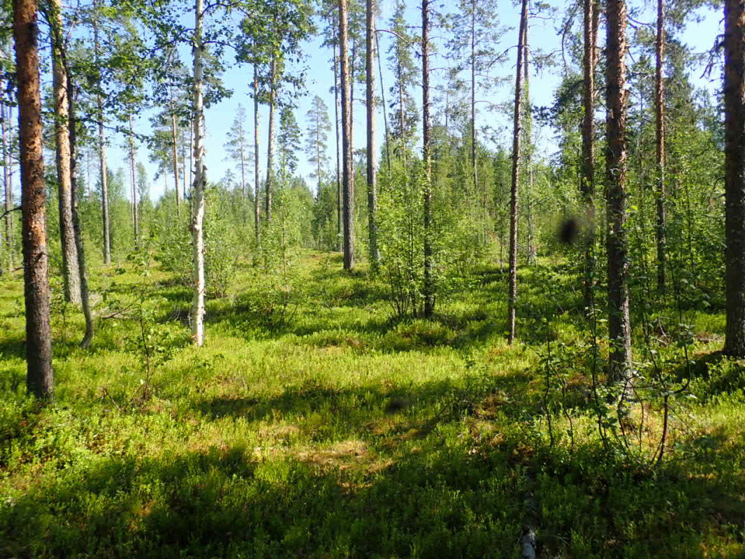 East view / Östliche Sicht