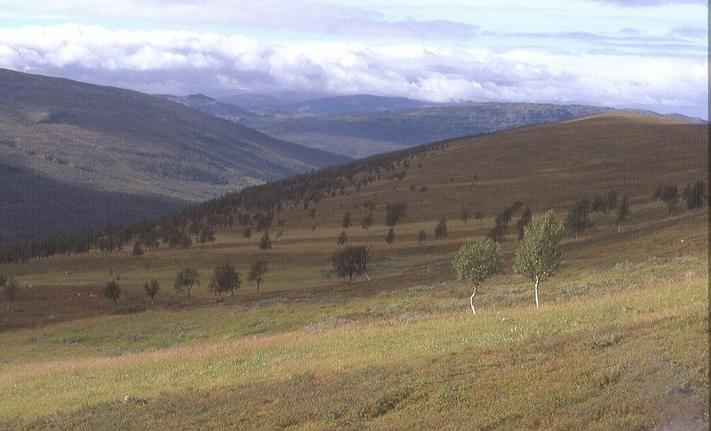 Ascending from Rostadalen, 7 km south-west of the CP