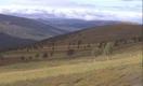 #2: Ascending from Rostadalen, 7 km south-west of the CP