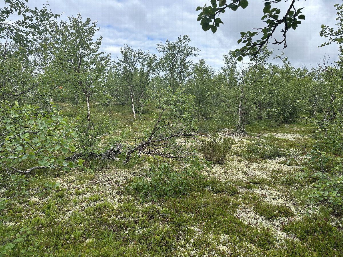 The Confluence from 10m Distance