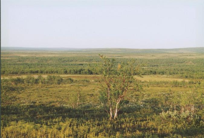 view east (from ATV-track), towards the CP (800m away)